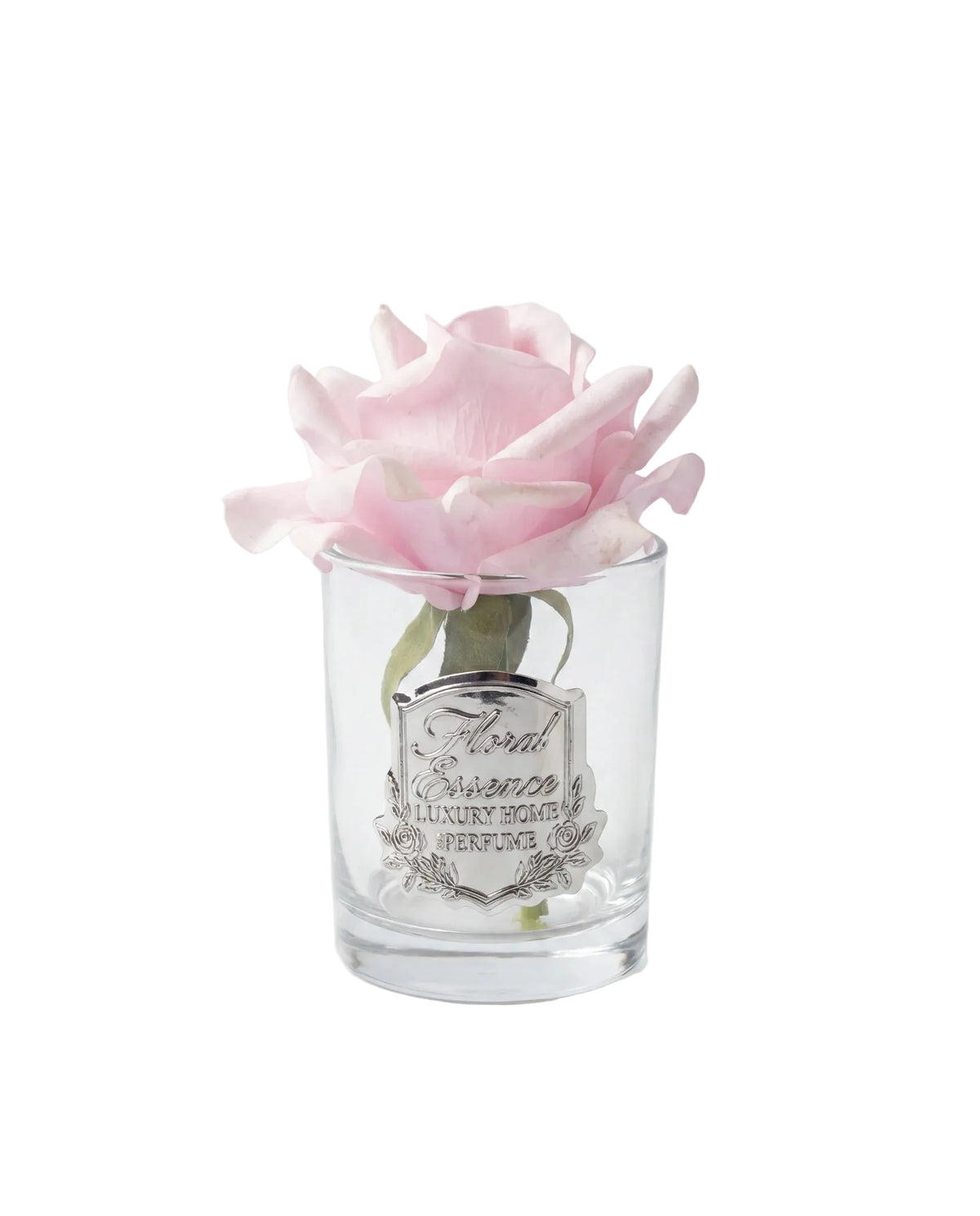 Scented Rose Blush Bloom