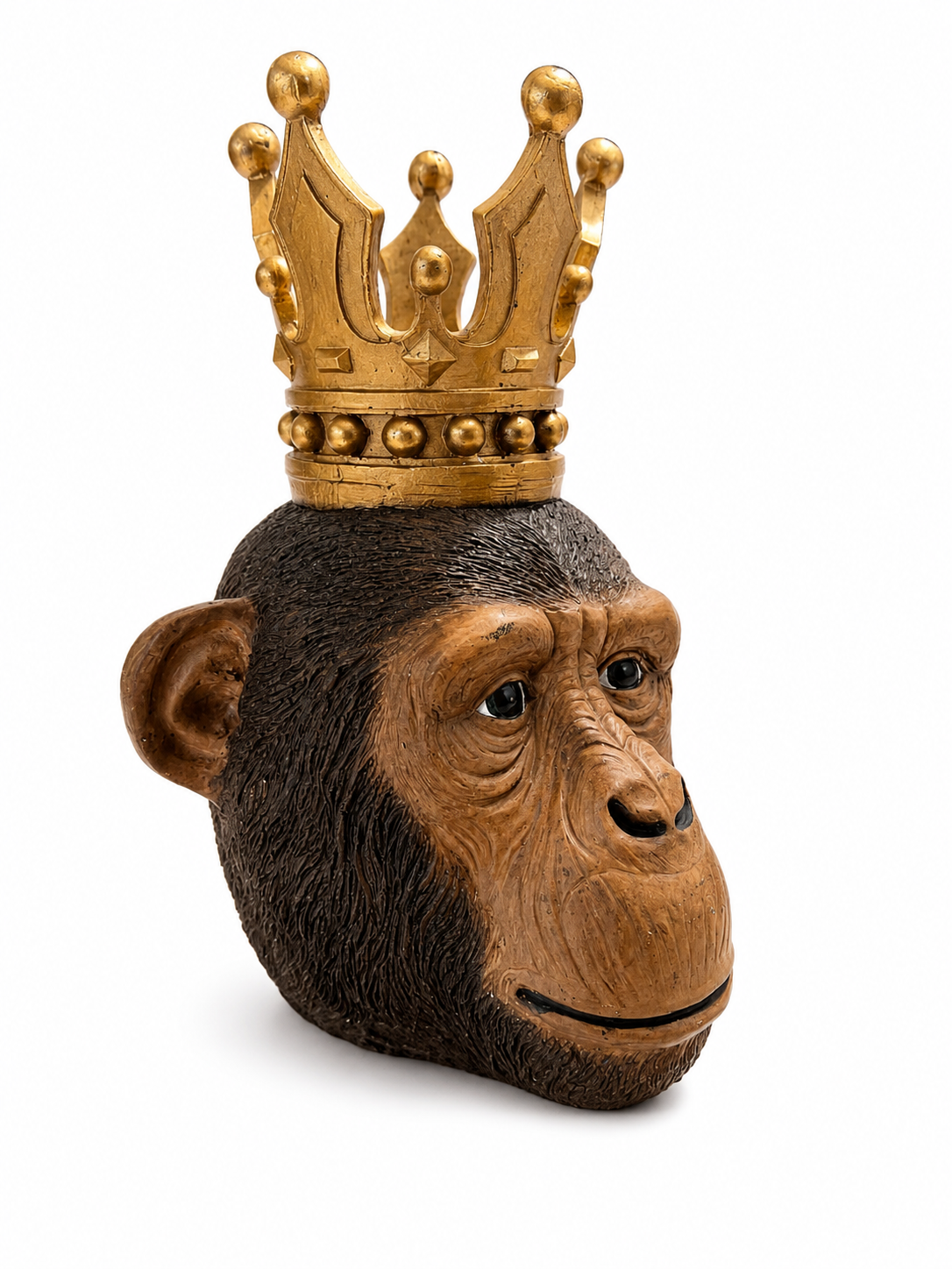 Kingdom Büst