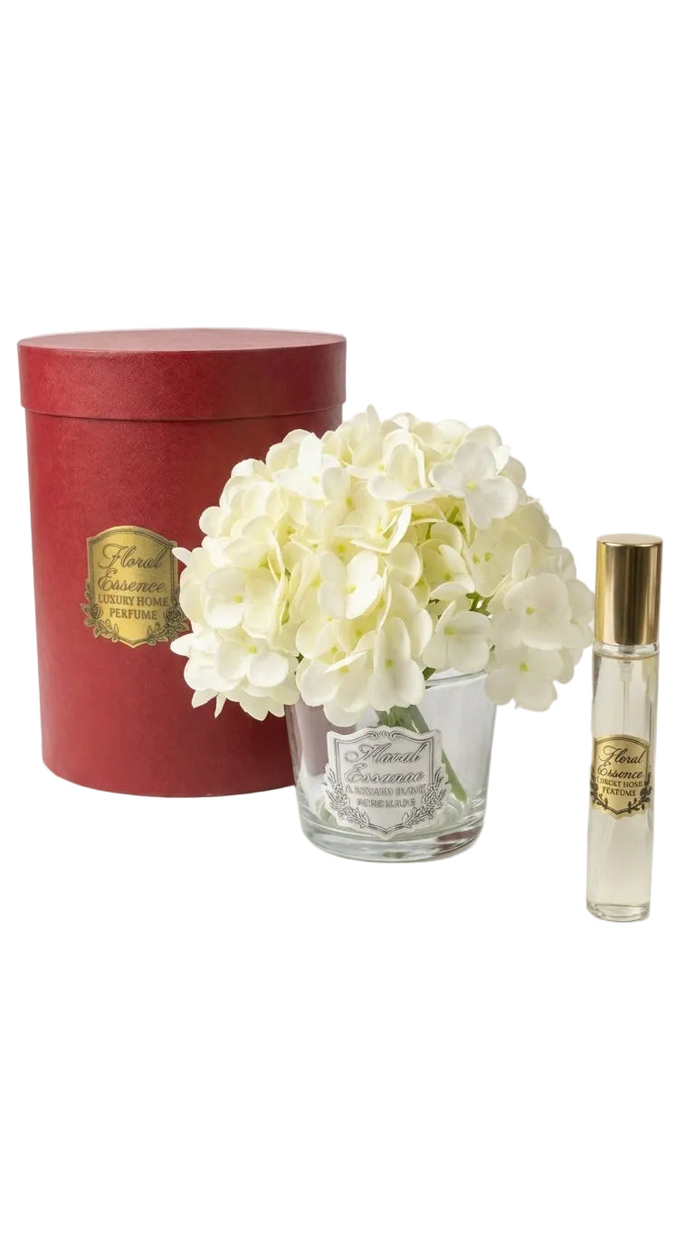 Scented Hydrangeas Pearl Bloom Ortanca