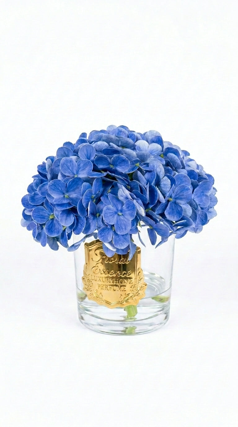 Scented Hydrangeas Azure Bloom Ortanca