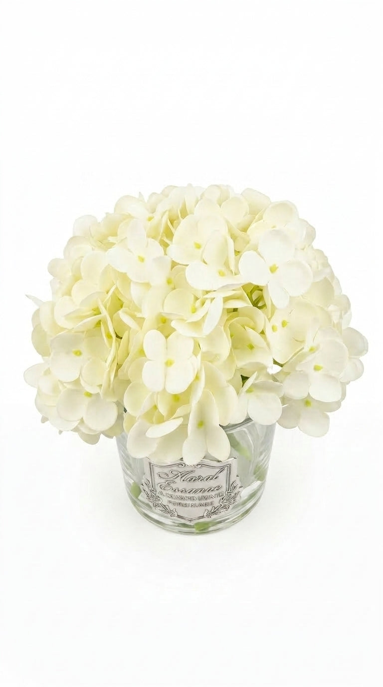 Scented Hydrangeas Pearl Bloom Ortanca