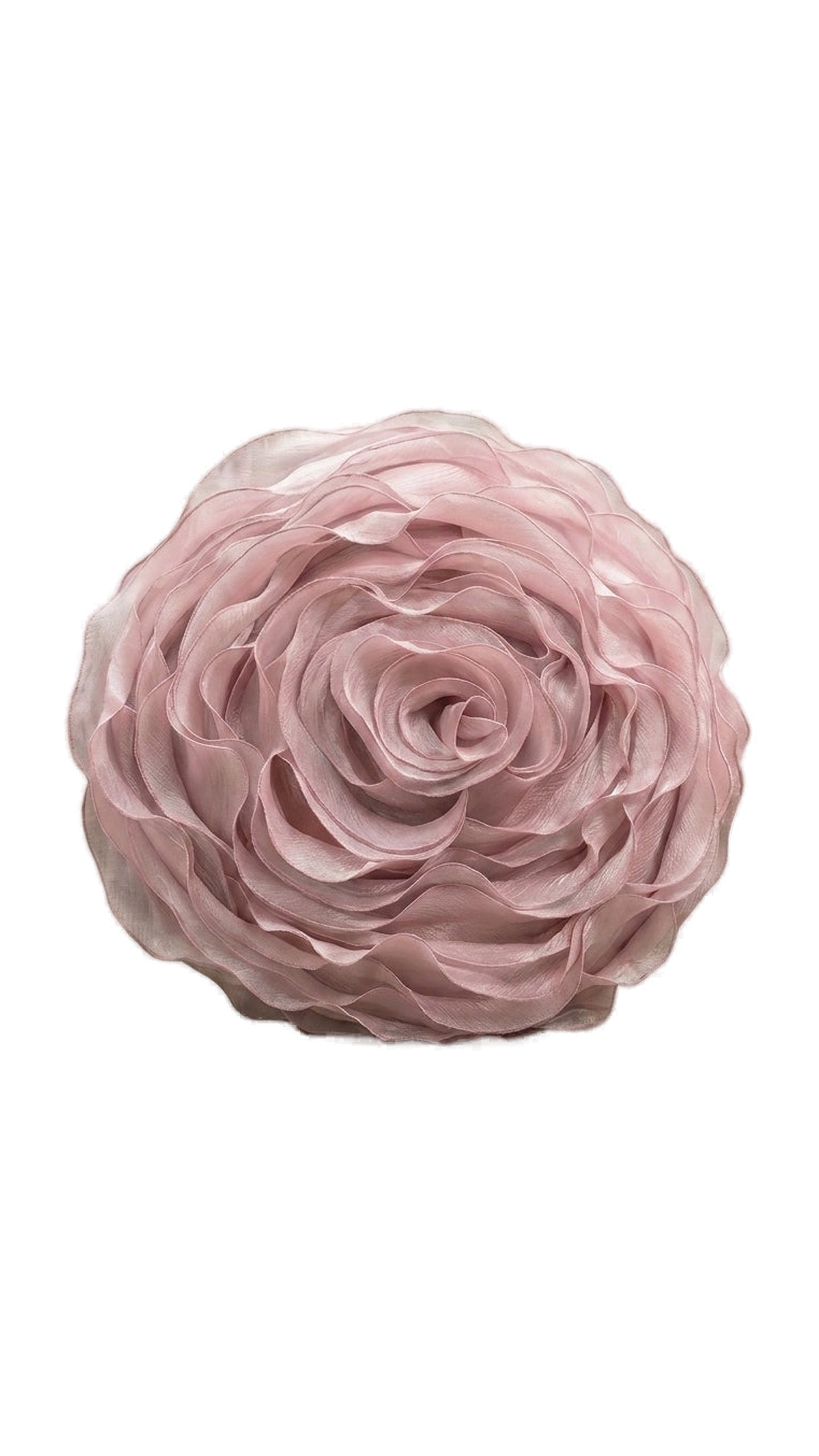 Rose Blush Pillow