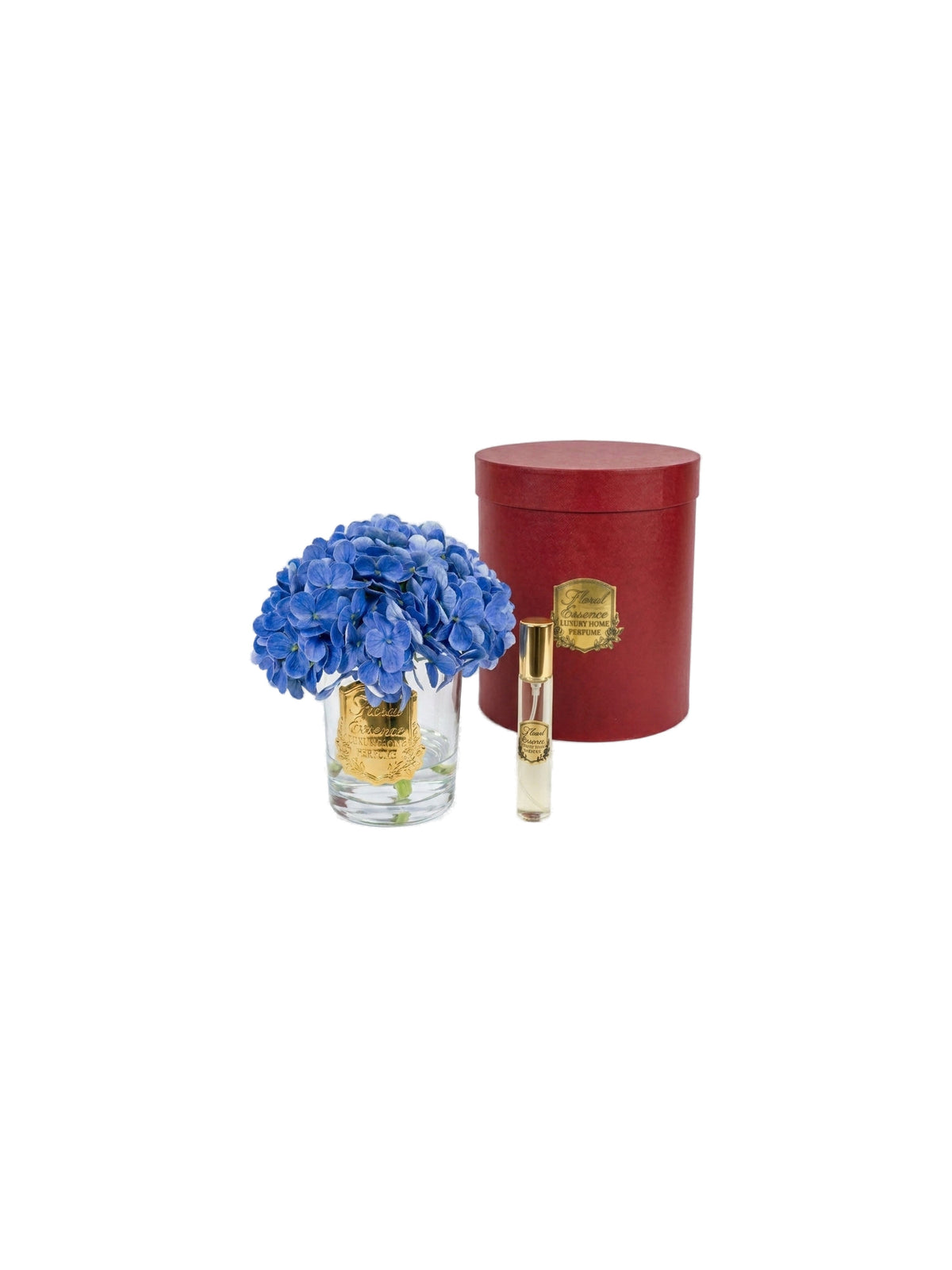 Scented Hydrangeas Azure Bloom Hydrangea