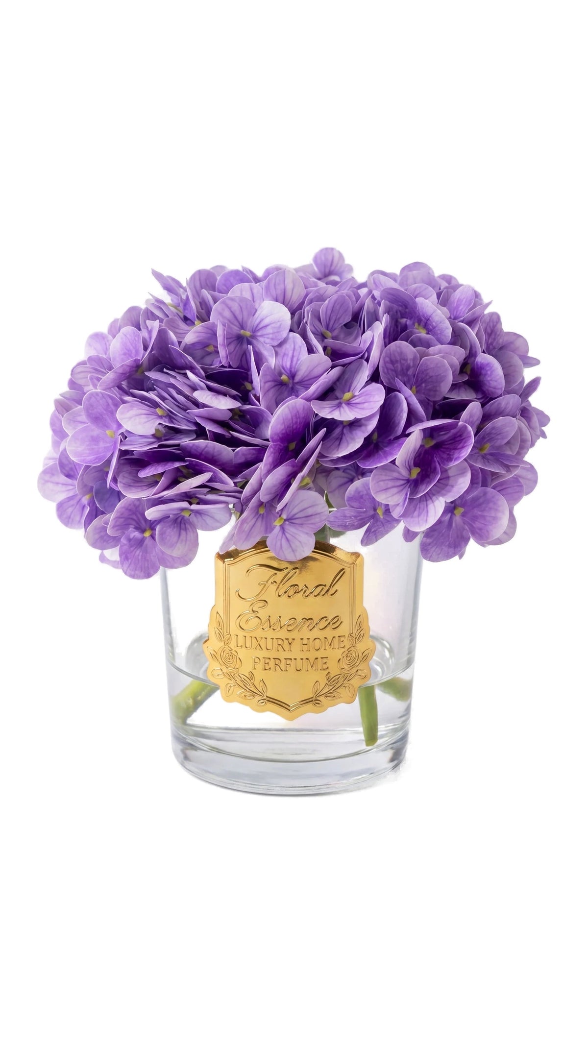 Scented Hydrangeas Lavender Bloom Ortanca