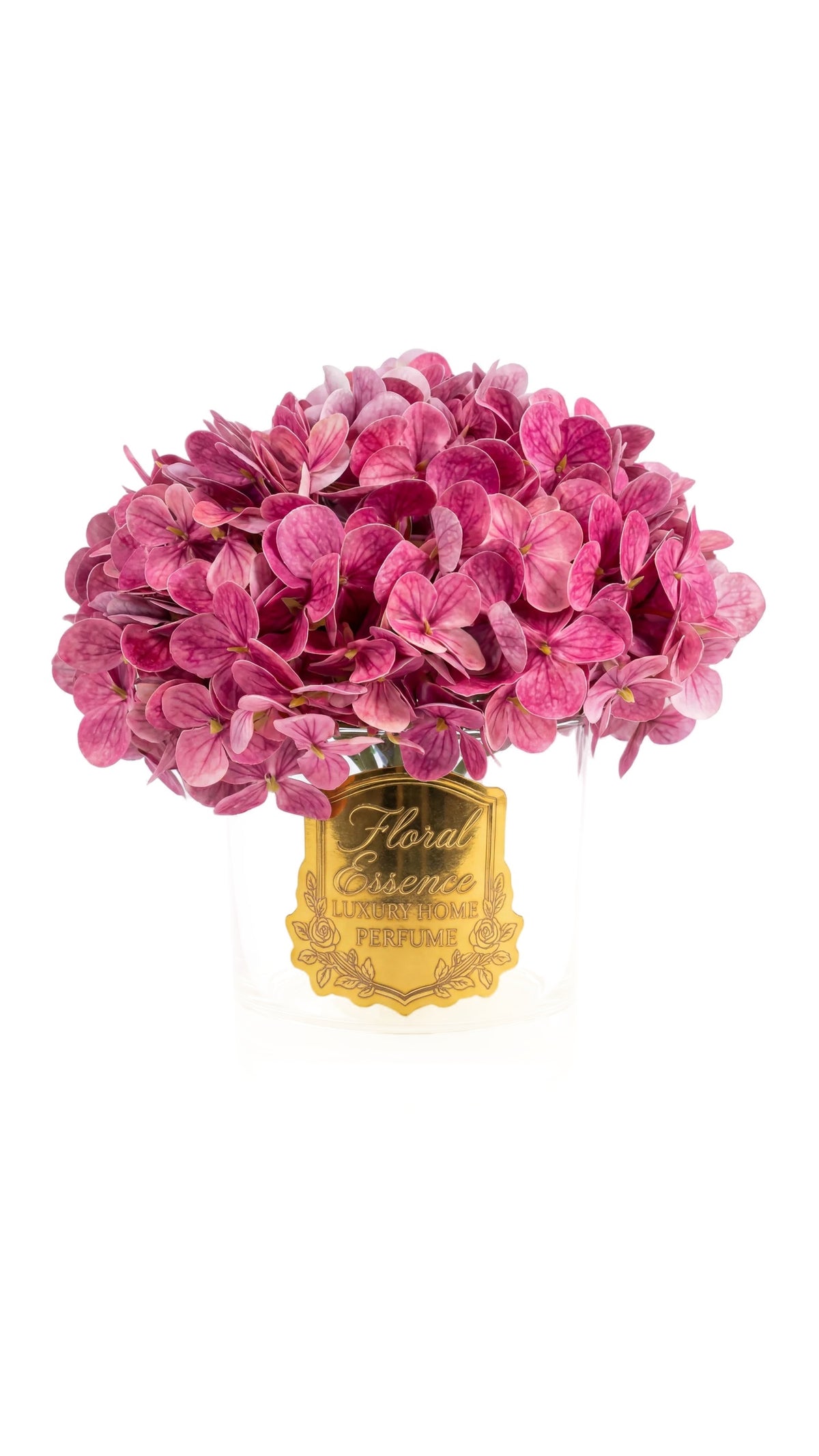 Scented Hydrangeas Orchid Bloom Ortanca