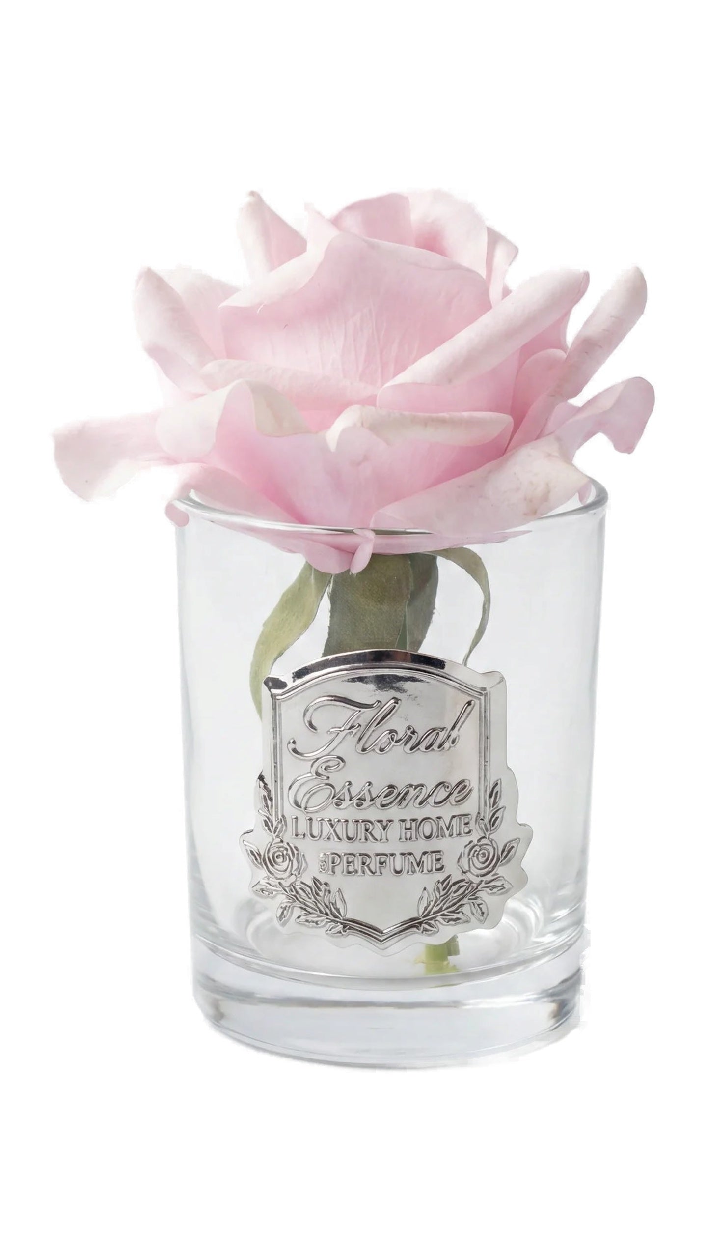 Scented Rose Blush Bloom