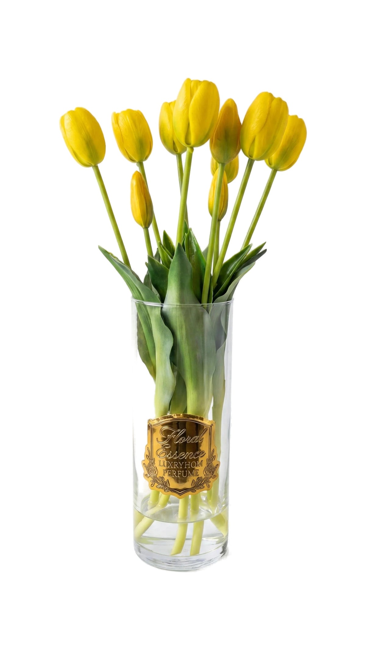 Scented Tulips Soleil Bloom Yellow Tulips