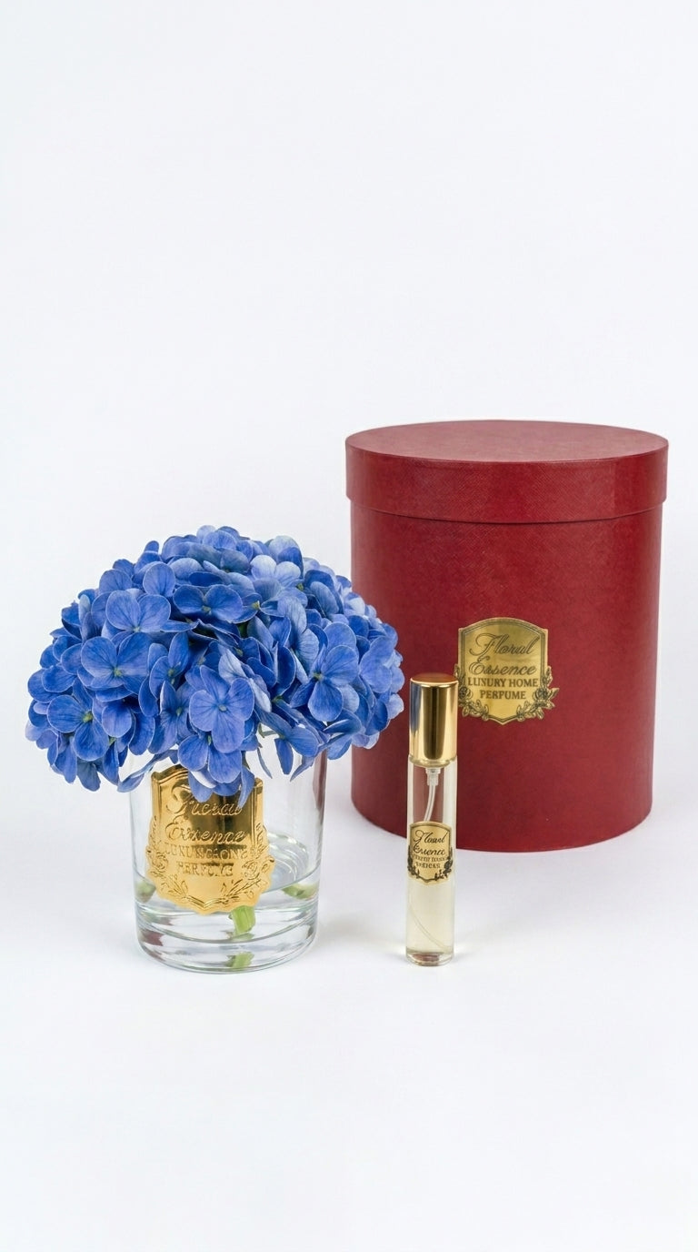 Scented Hydrangeas Azure Bloom Ortanca