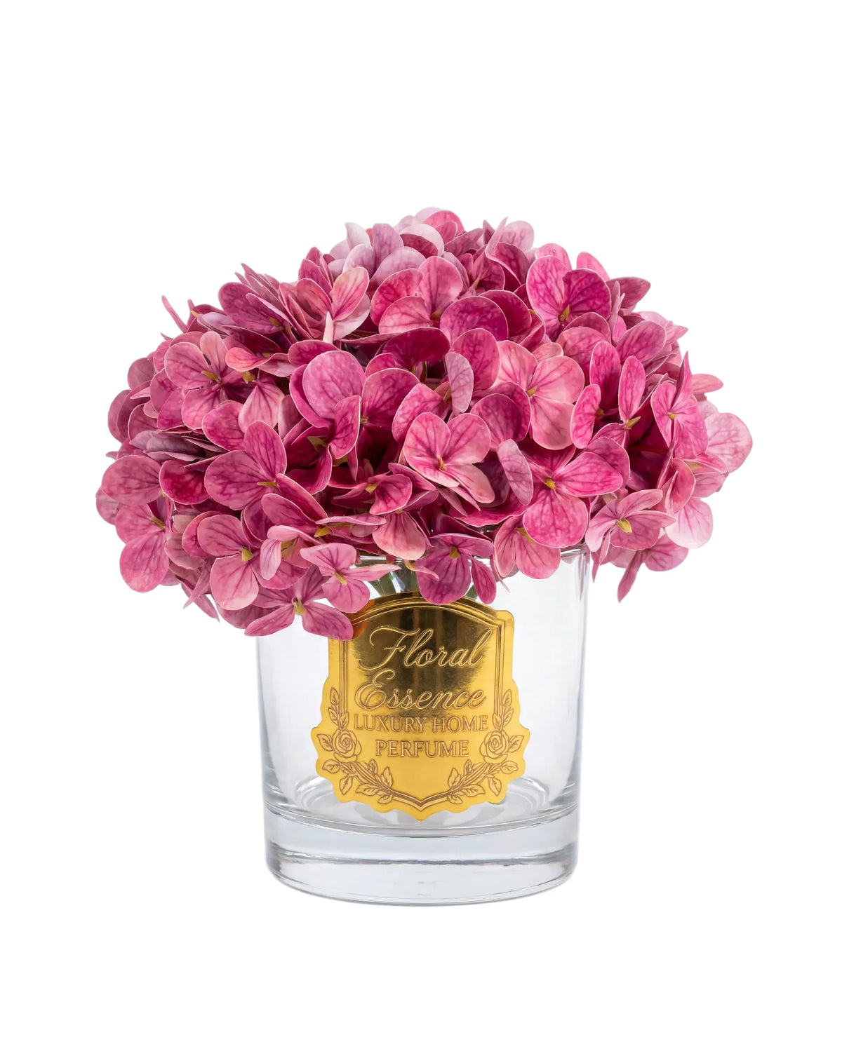 Scented Hydrangeas Orchid Bloom Ortanca