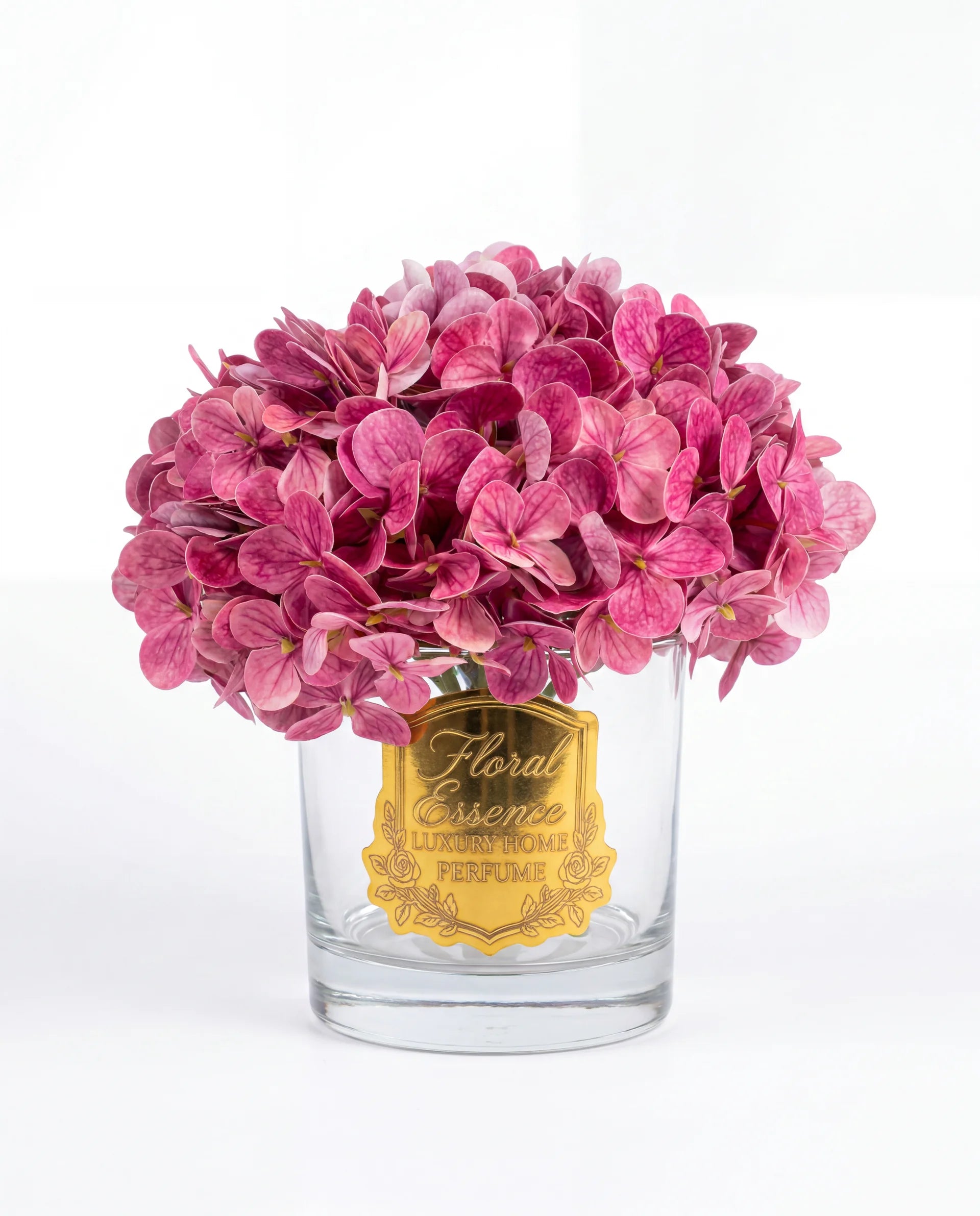 Scented Hydrangeas Orchid Bloom Ortanca