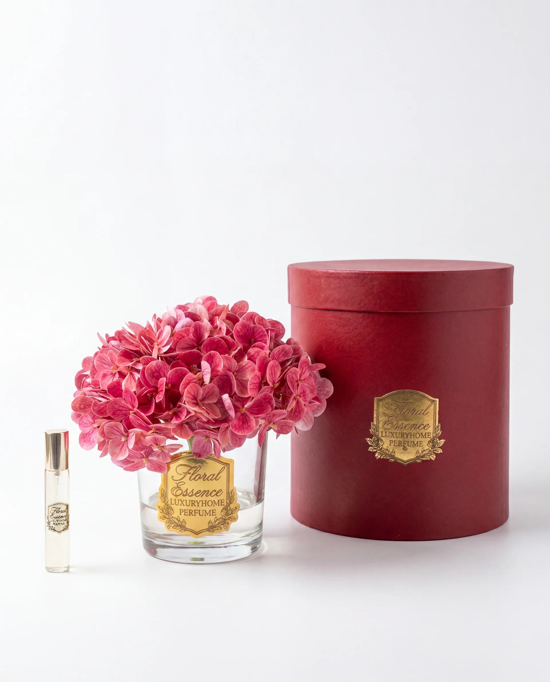 Scented Hydrangeas Orchid Bloom Ortanca