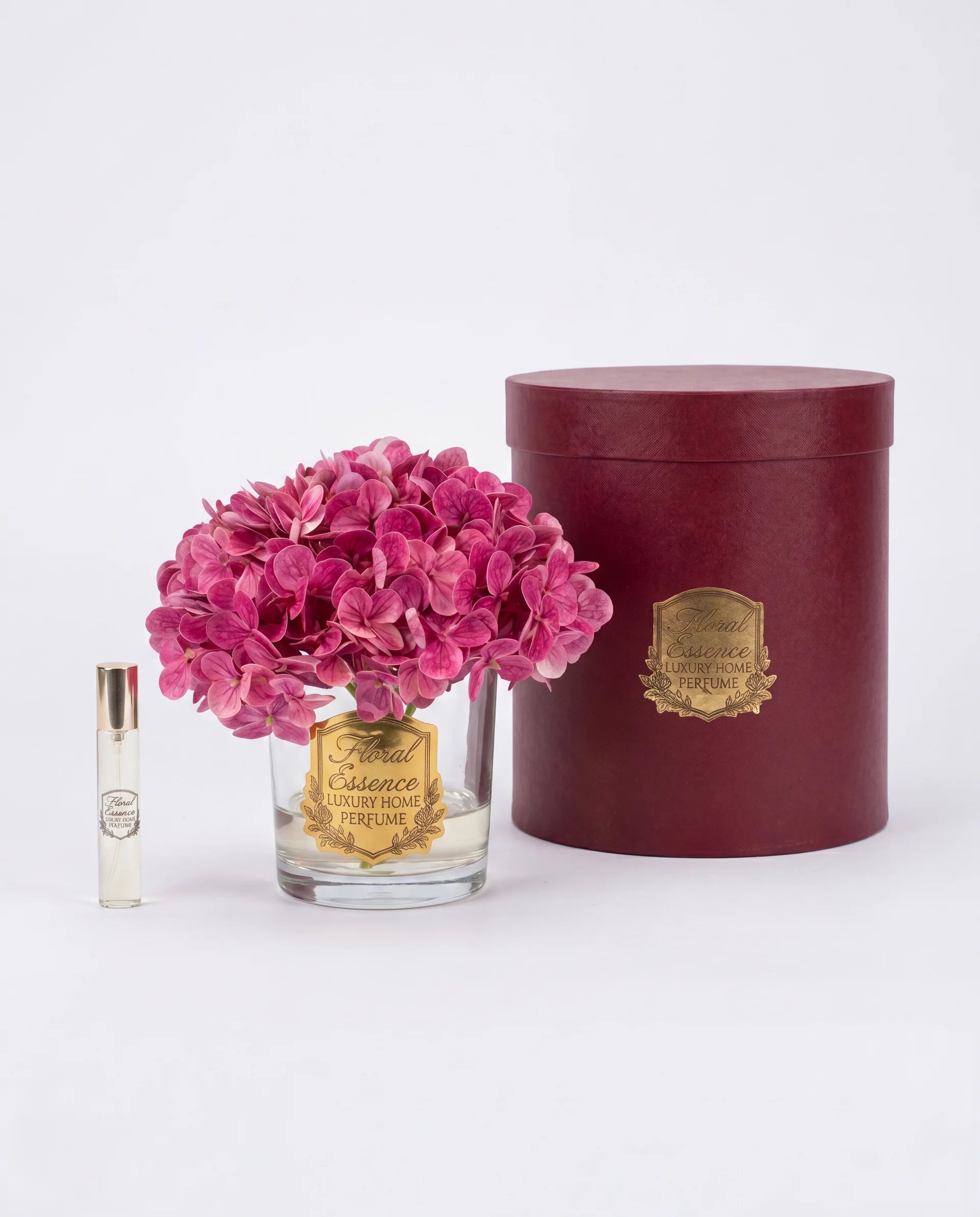 Scented Hydrangeas Orchid Bloom Ortanca