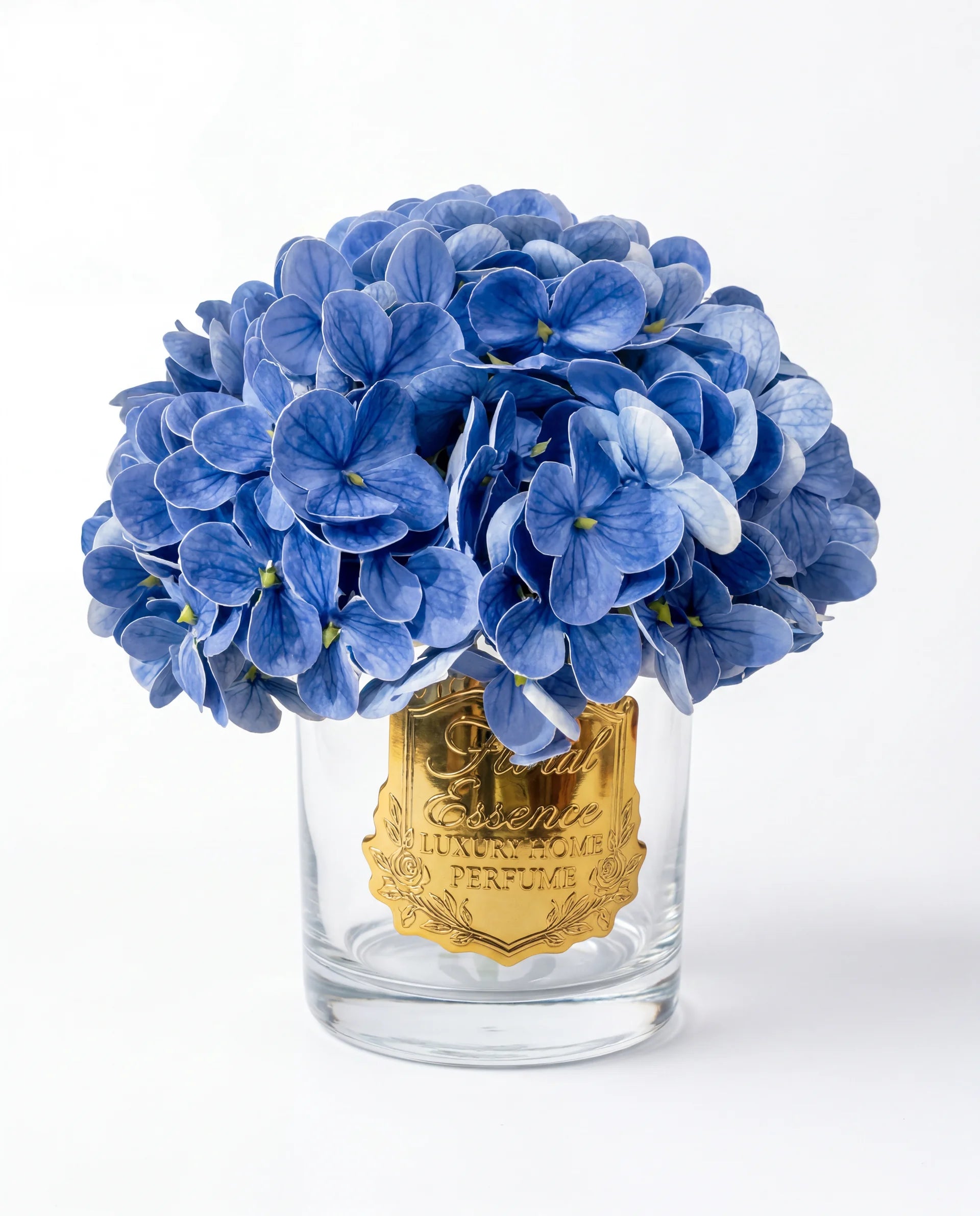 Scented Hydrangeas Azure Bloom Ortanca