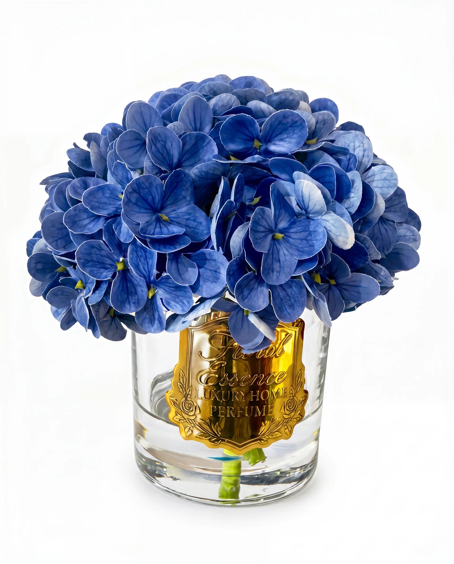 Scented Hydrangeas Azure Bloom Ortanca