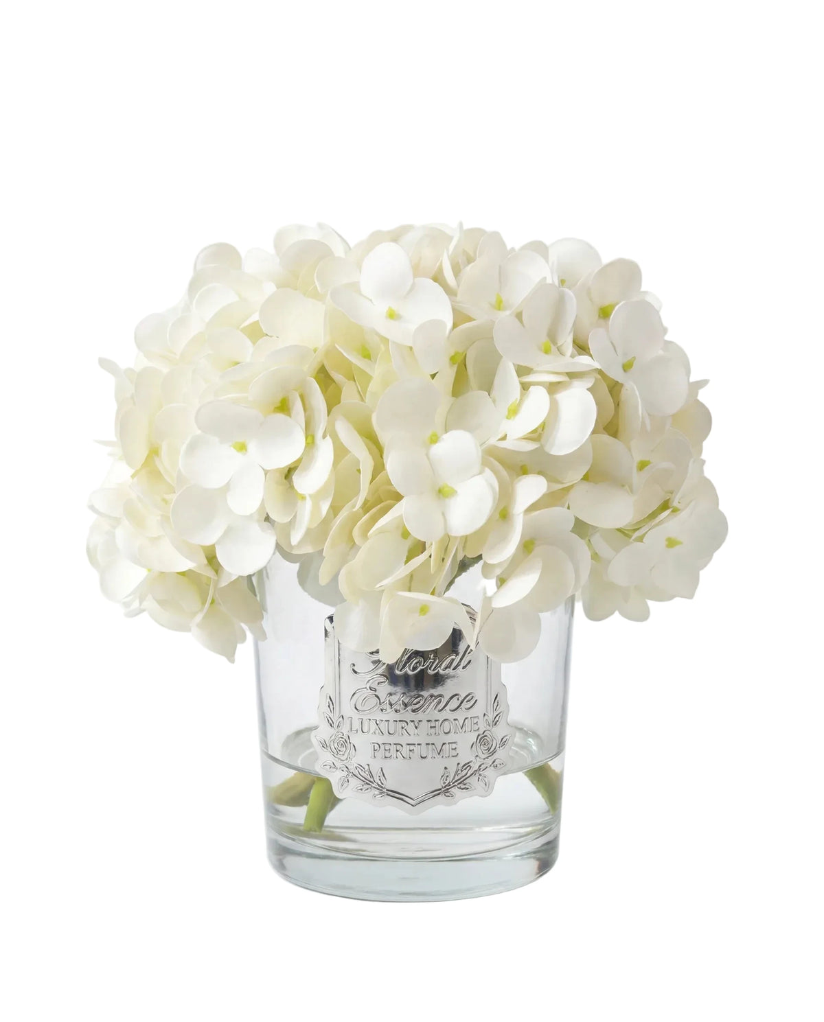 Scented Hydrangeas Pearl Bloom Ortanca
