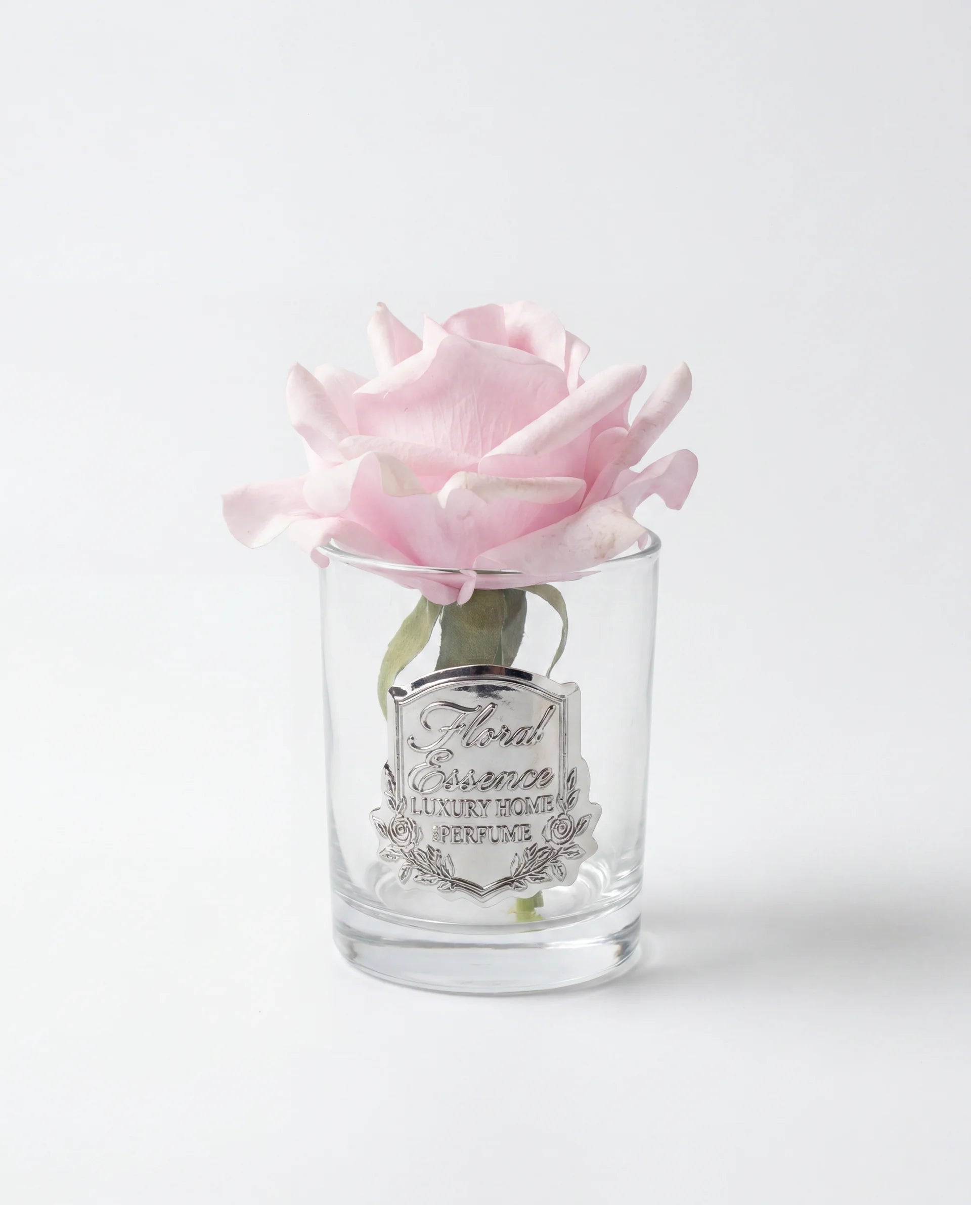 Scented Rose Blush Bloom