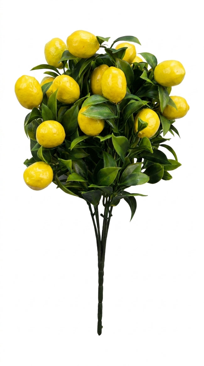 Amalfi Limon Dalı