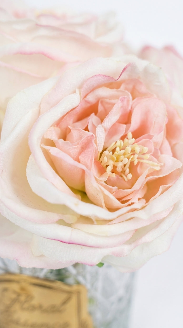 Scented Peonies Blush Bloom 6'lı Şakayık