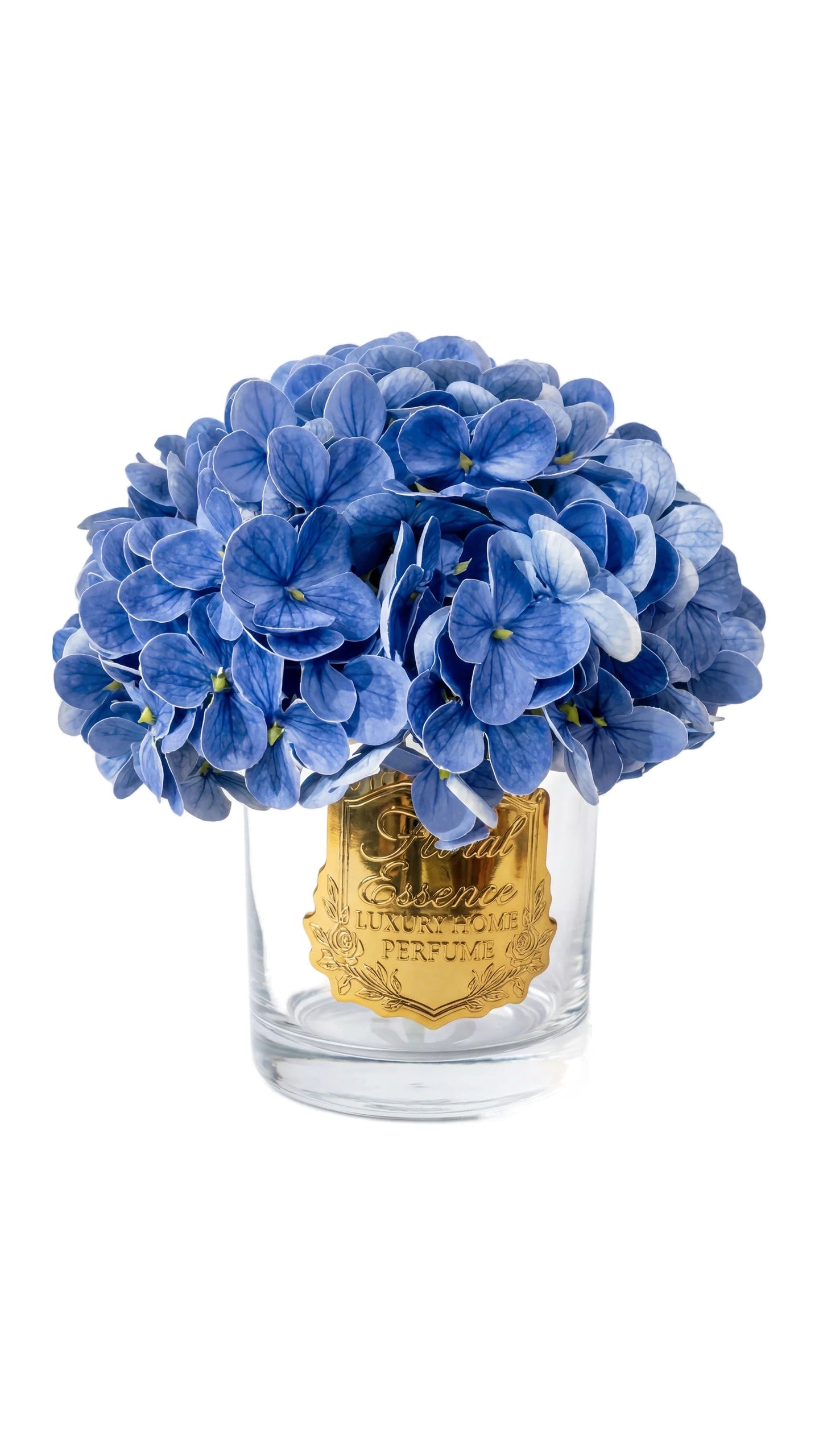 Scented Hydrangeas Azure Bloom Hydrangea