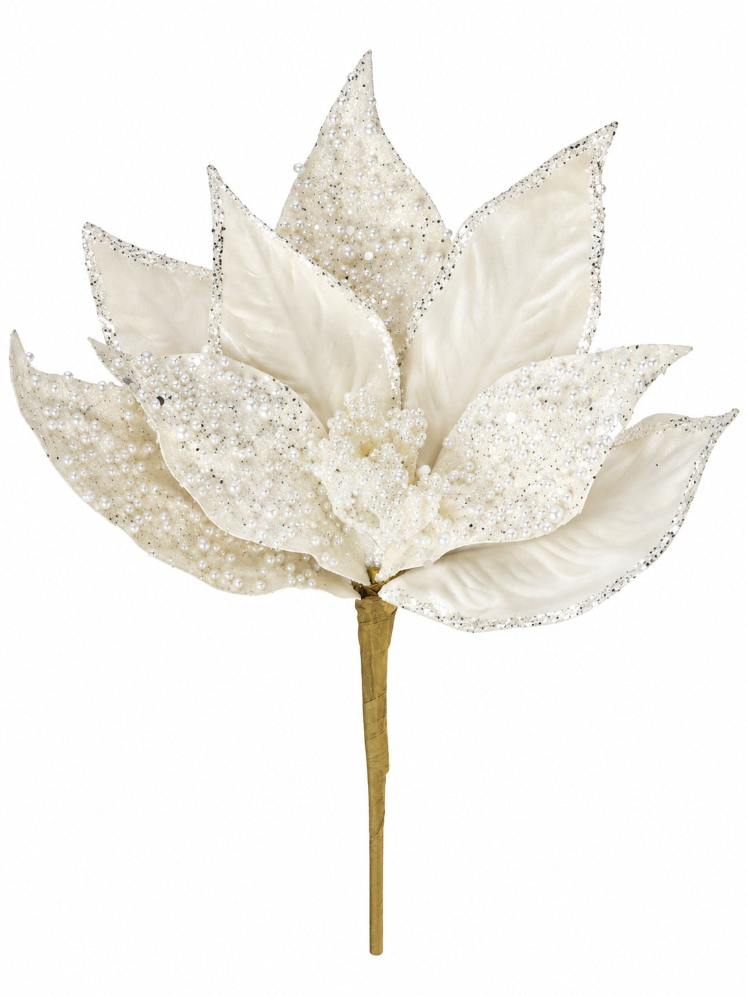 Pearl Snow Poinsettia Dekoratif Yılbaşı Çiçeği