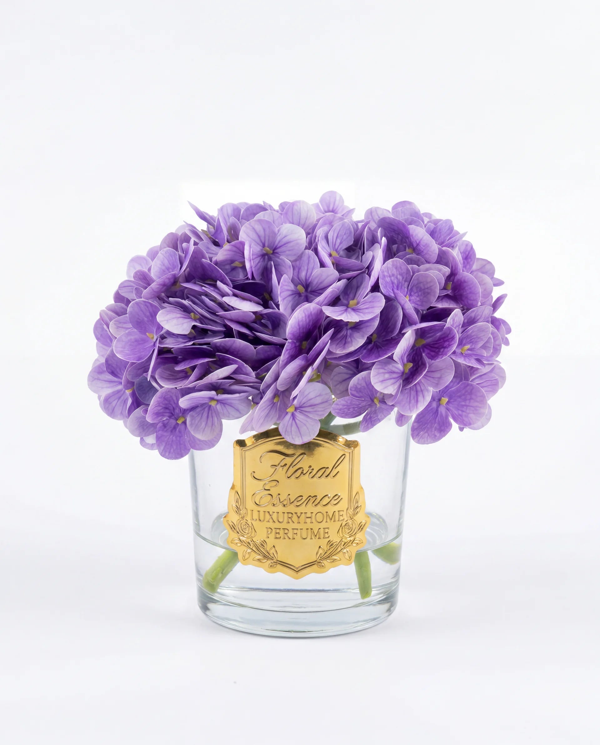 Scented Hydrangeas Lavender Bloom Ortanca
