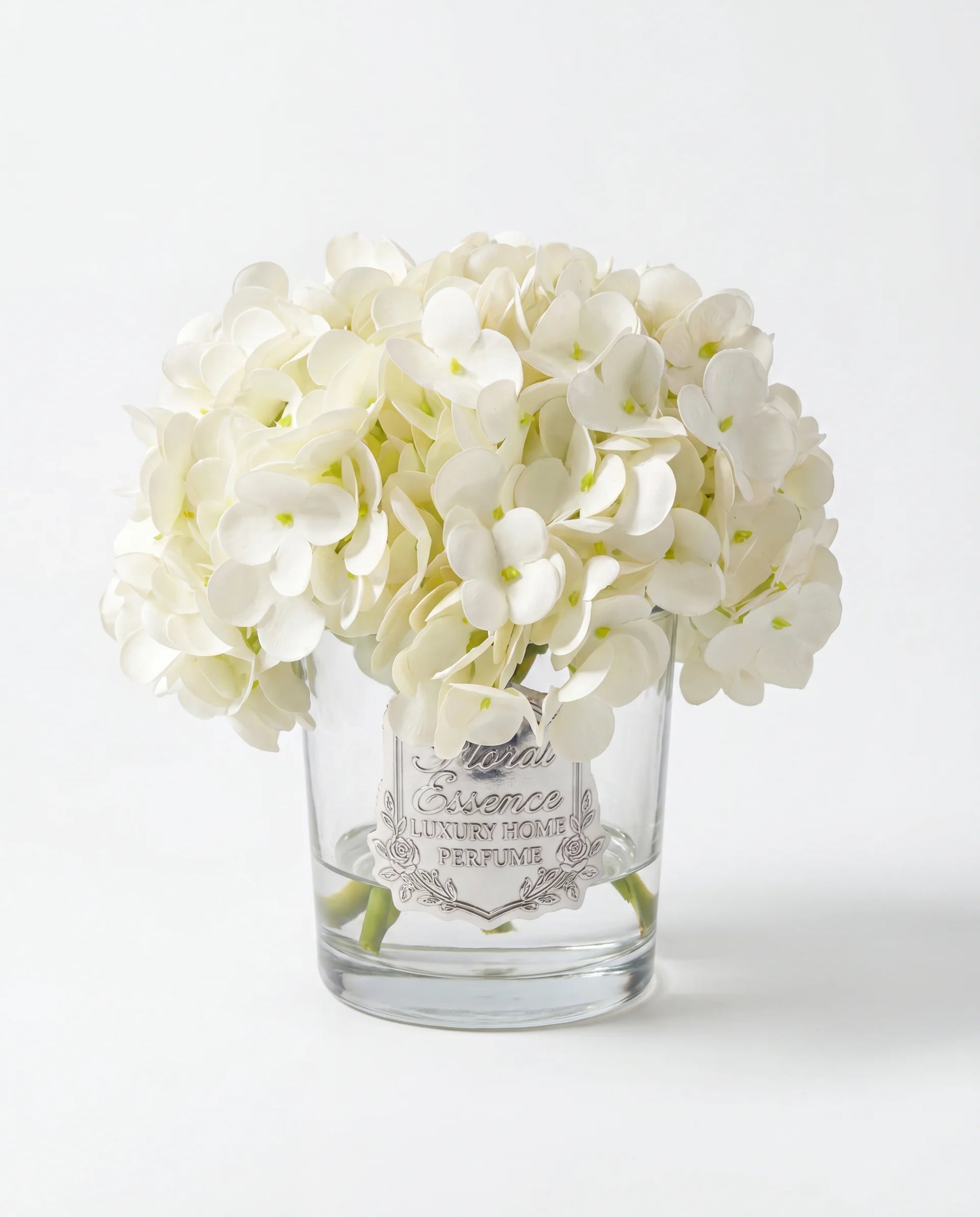 Scented Hydrangeas Pearl Bloom Ortanca