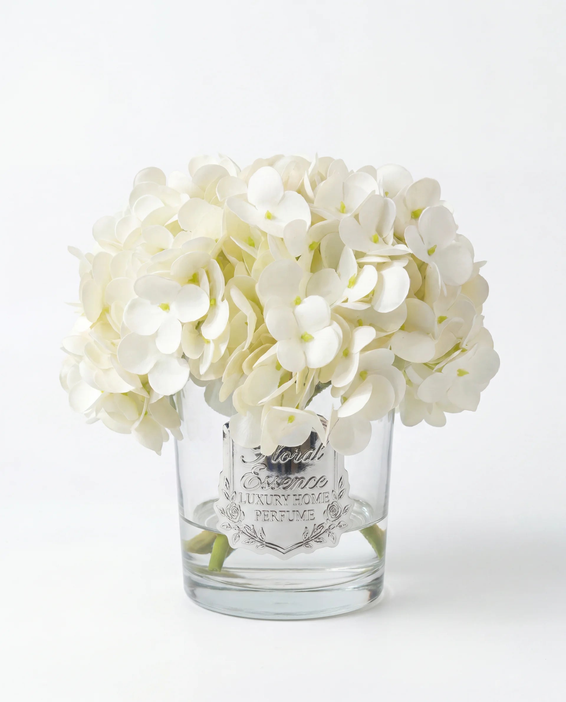 Scented Hydrangeas Pearl Bloom Ortanca