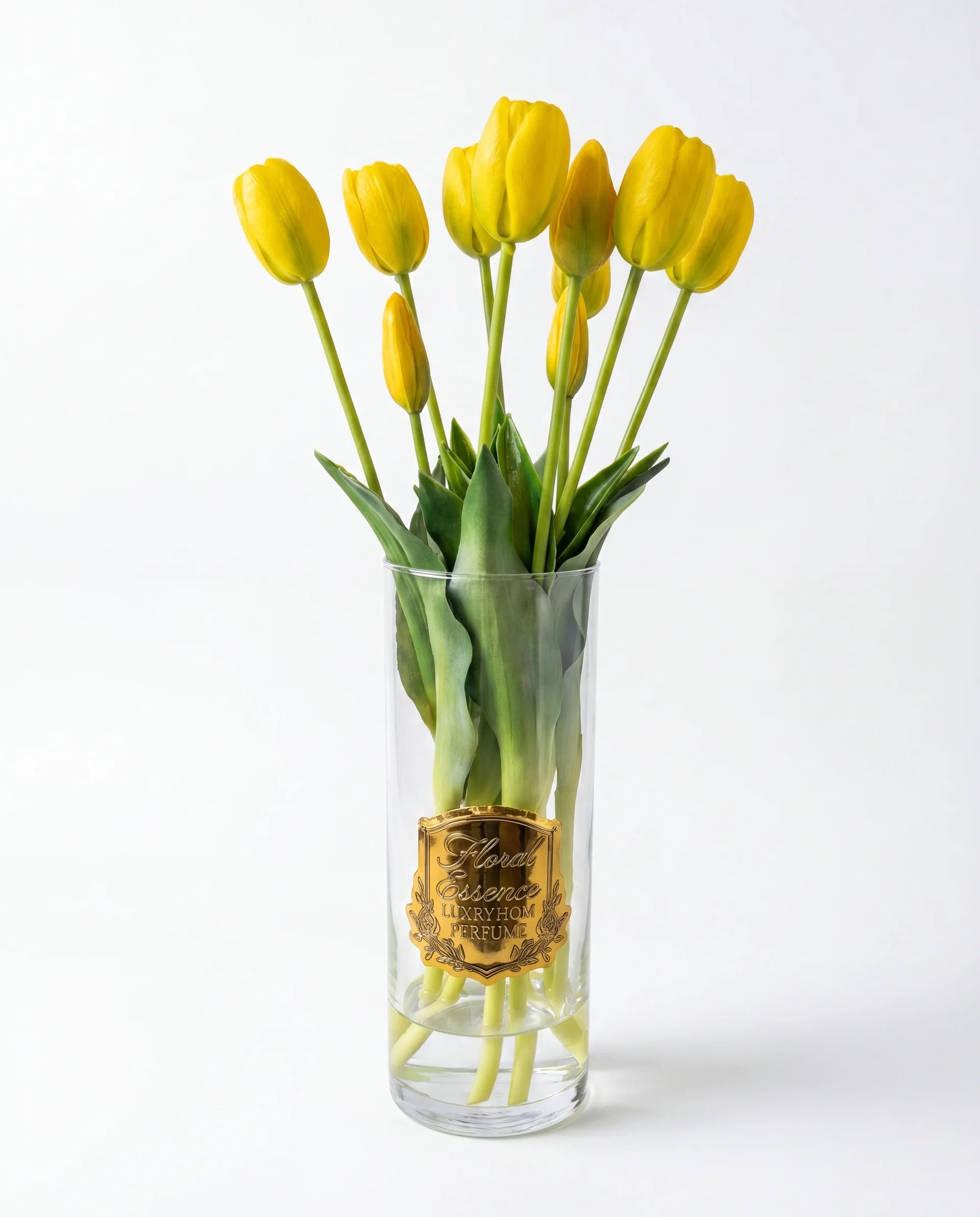 Scented Tulips Soleil Bloom Sarı Laleler
