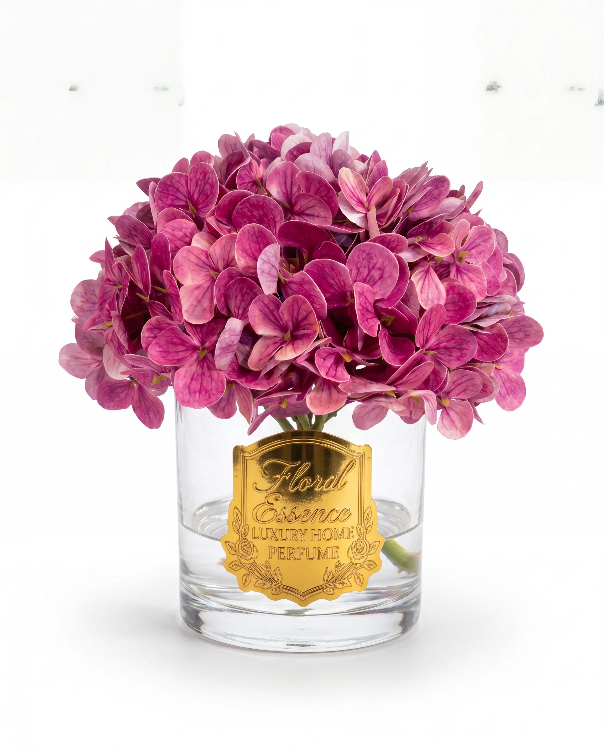 Scented Hydrangeas Orchid Bloom Ortanca
