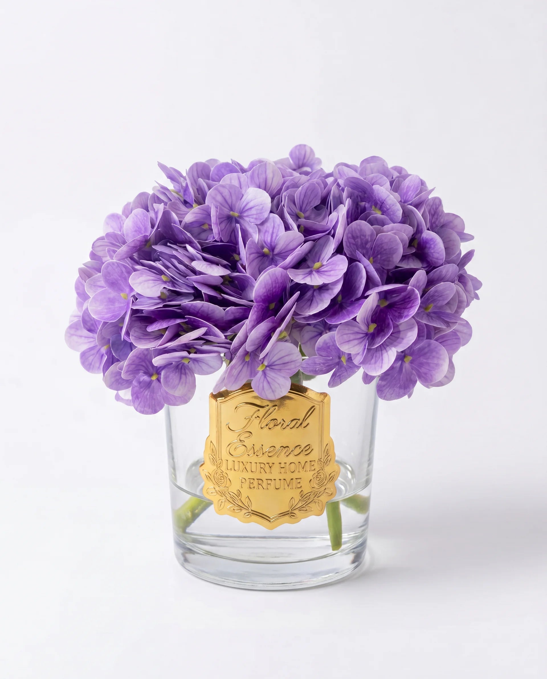 Scented Hydrangeas Lavender Bloom Ortanca